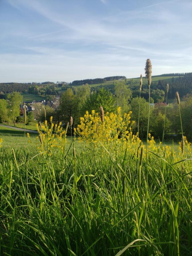 Sonnen Panorama - Abenteurer Und Weltentdecker Winterberg Esterno foto